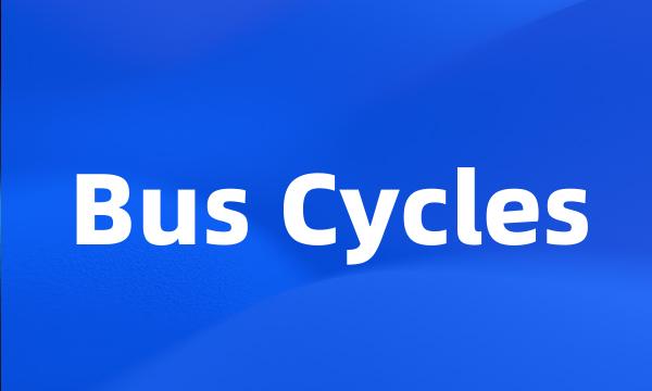 Bus Cycles