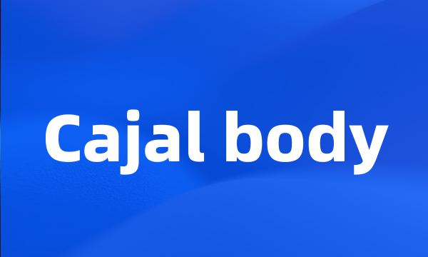 Cajal body