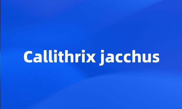 Callithrix jacchus