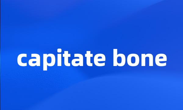 capitate bone