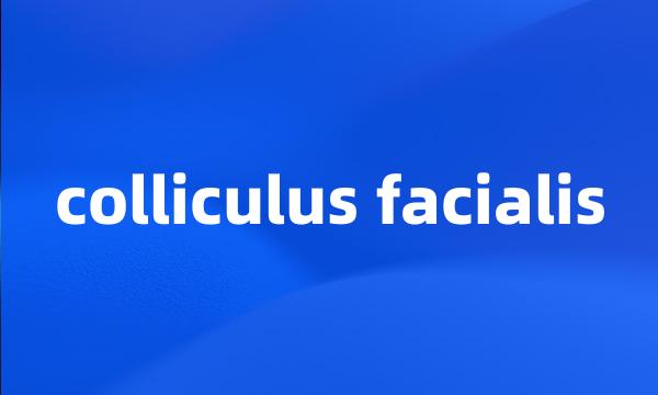 colliculus facialis