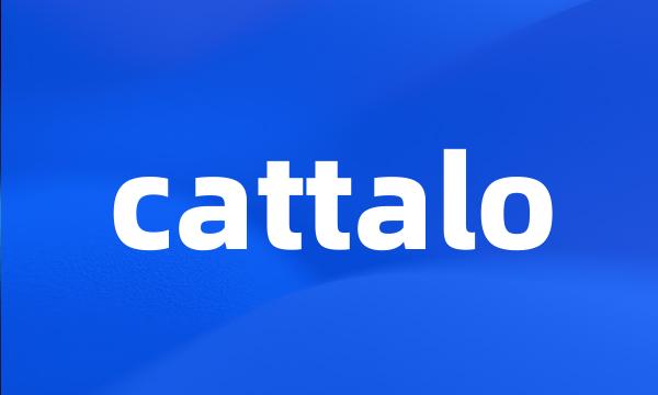 cattalo