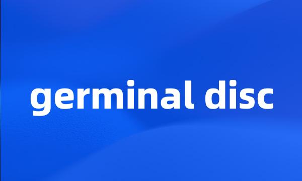 germinal disc