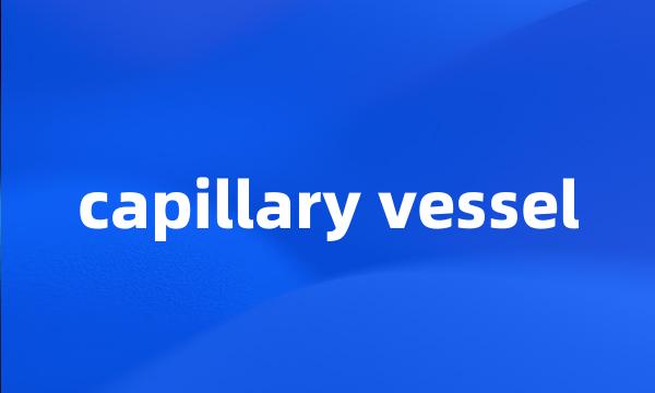 capillary vessel