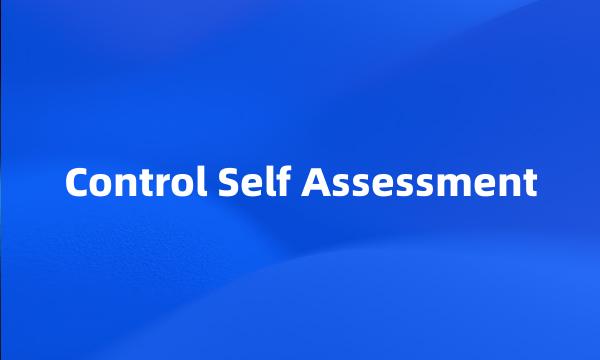 Control Self Assessment