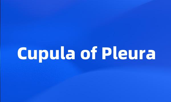 Cupula of Pleura