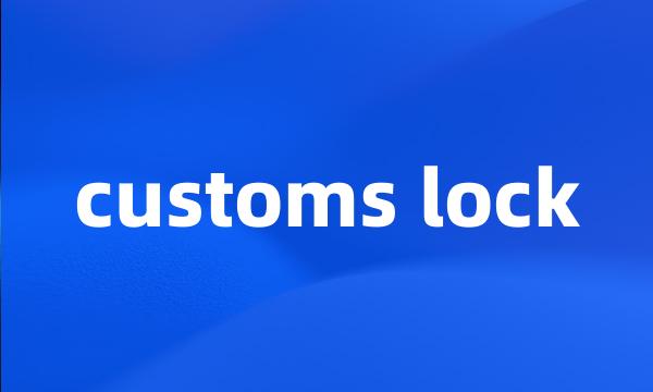 customs lock