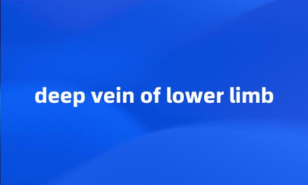 deep vein of lower limb