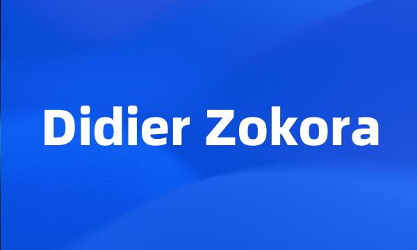 Didier Zokora