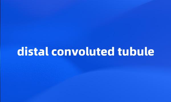 distal convoluted tubule