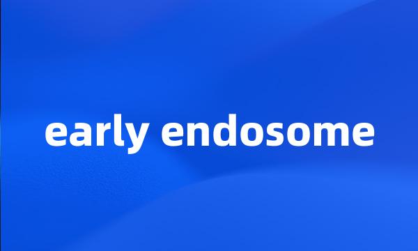 early endosome