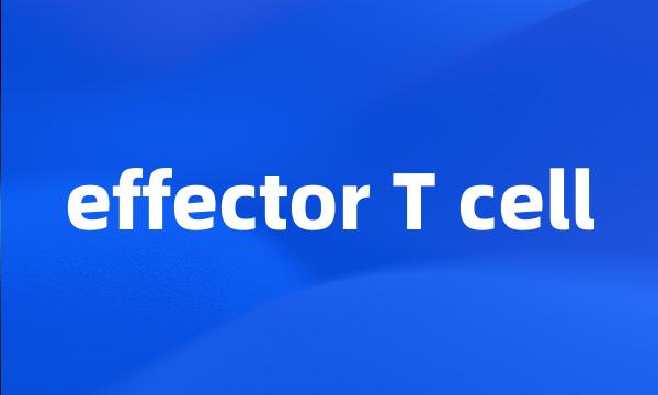 effector T cell