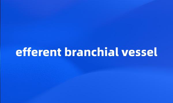 efferent branchial vessel