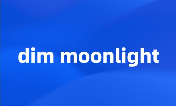 dim moonlight