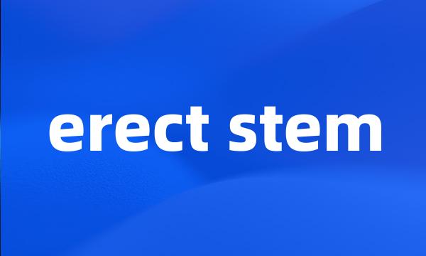 erect stem