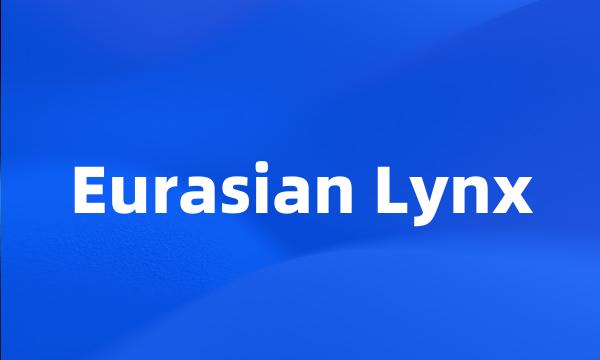 Eurasian Lynx