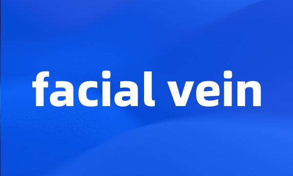 facial vein