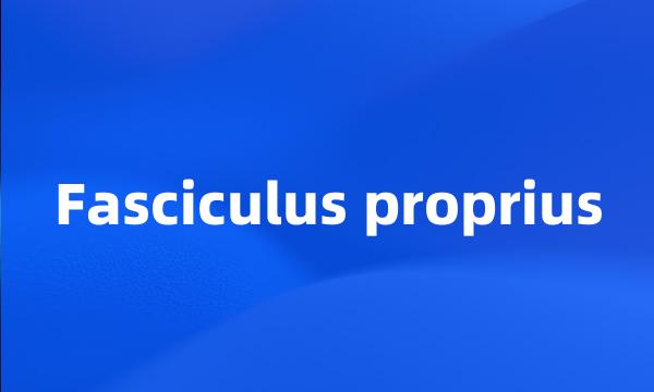 Fasciculus proprius