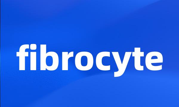 fibrocyte