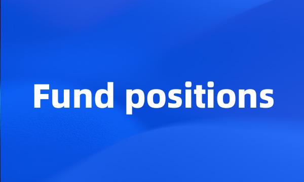 Fund positions