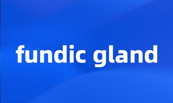 fundic gland