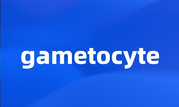 gametocyte