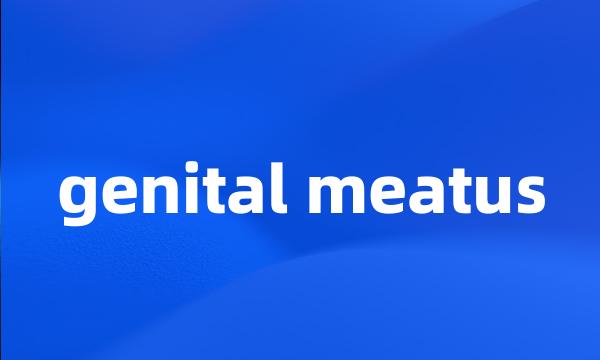 genital meatus