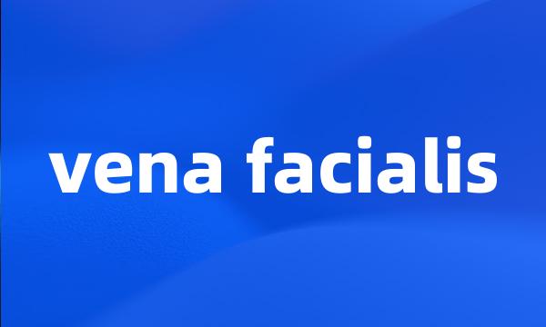 vena facialis