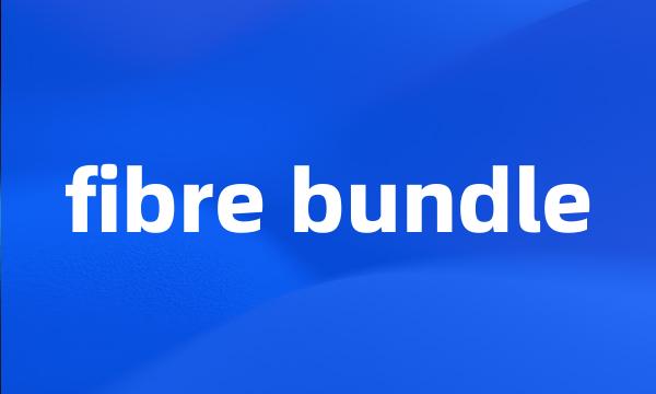 fibre bundle