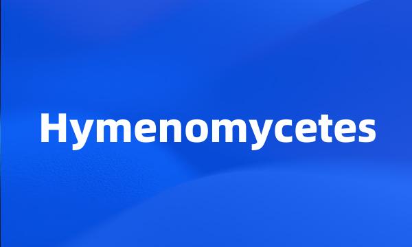 Hymenomycetes