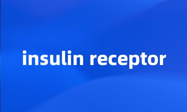 insulin receptor