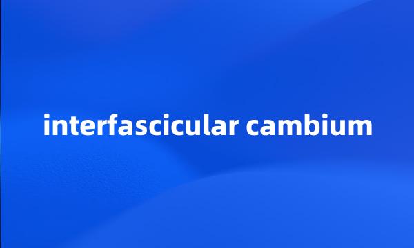 interfascicular cambium