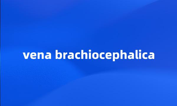 vena brachiocephalica