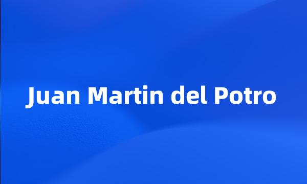 Juan Martin del Potro