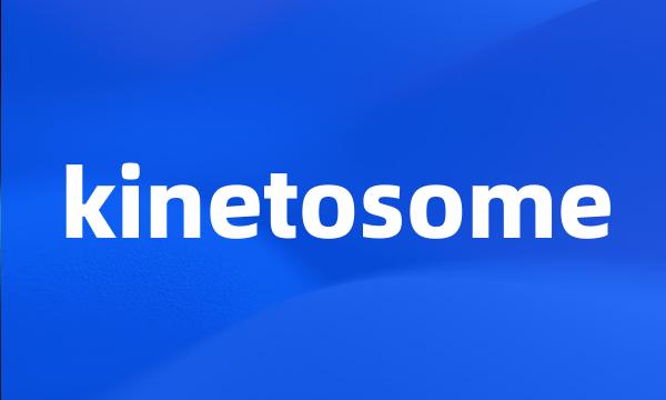 kinetosome