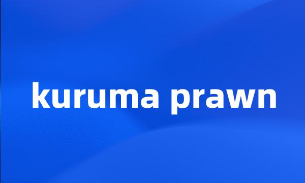 kuruma prawn