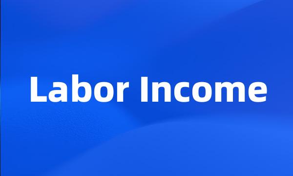 Labor Income