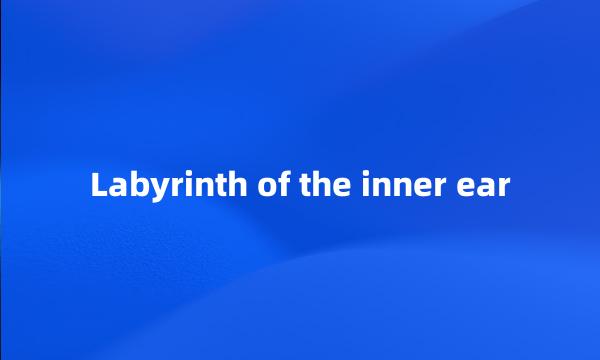 Labyrinth of the inner ear