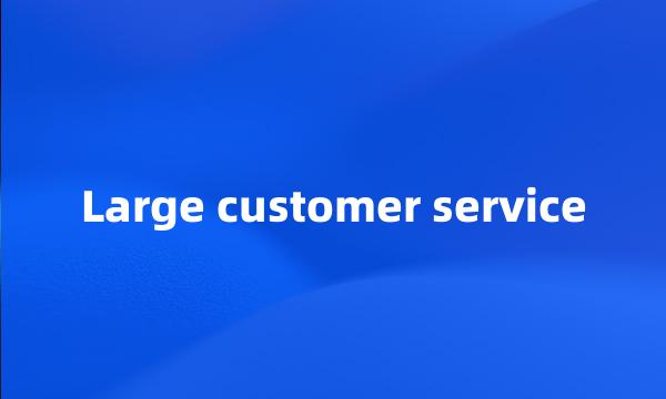 Large customer service