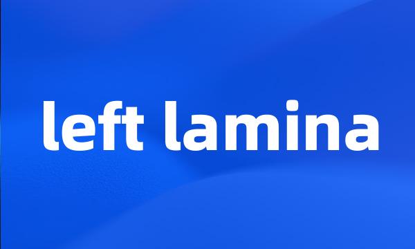 left lamina