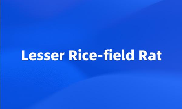 Lesser Rice-field Rat