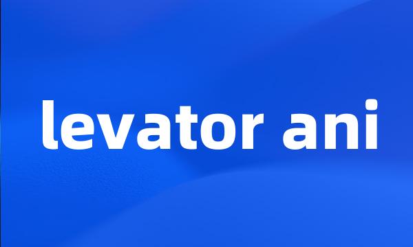 levator ani