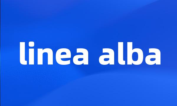 linea alba