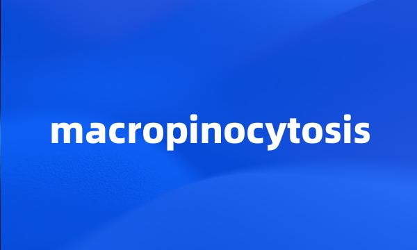 macropinocytosis