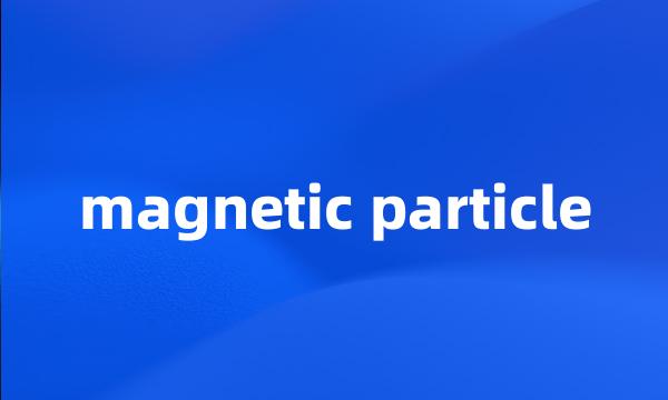 magnetic particle