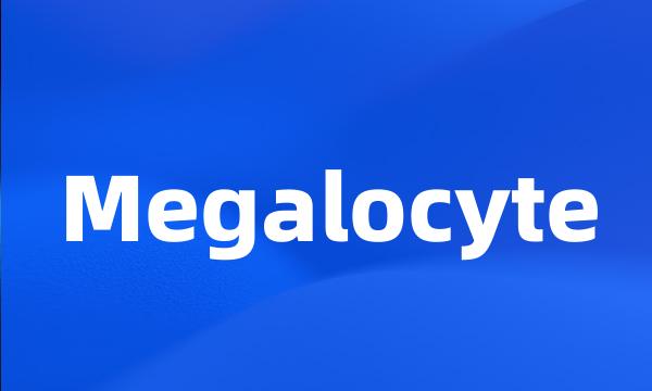 Megalocyte