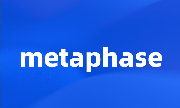 metaphase