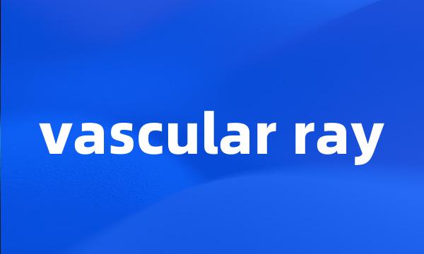 vascular ray