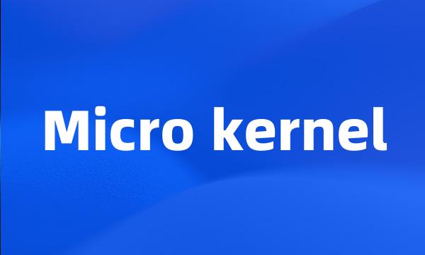 Micro kernel