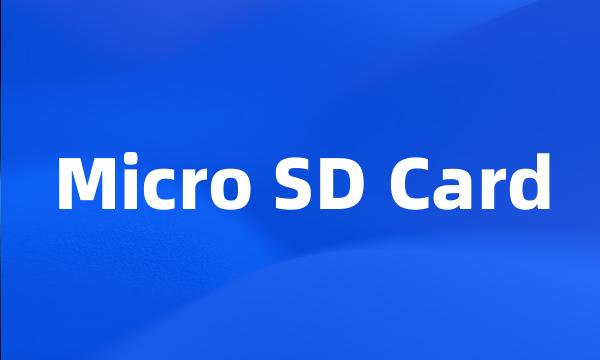 Micro SD Card